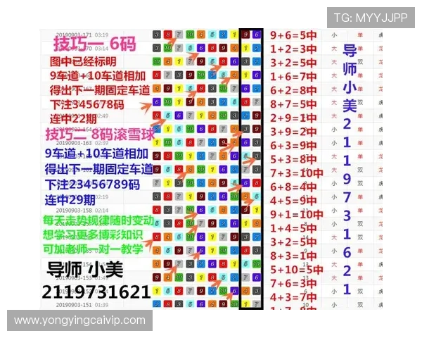 基于官方飞艇数据深度分析趋势变化与精准预测方法探索