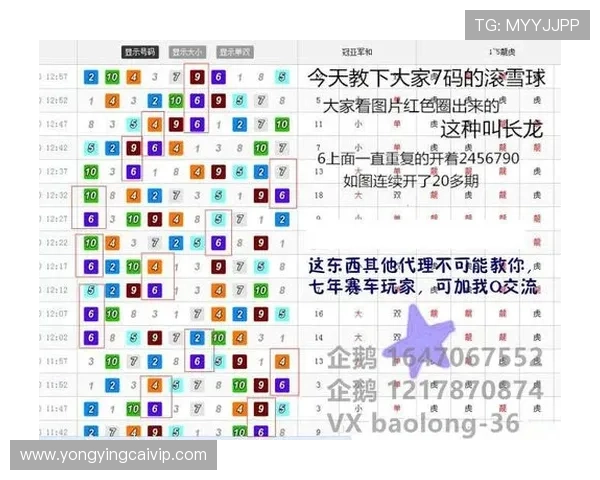 掌握澳洲幸运5投注技巧与选号策略全面解析