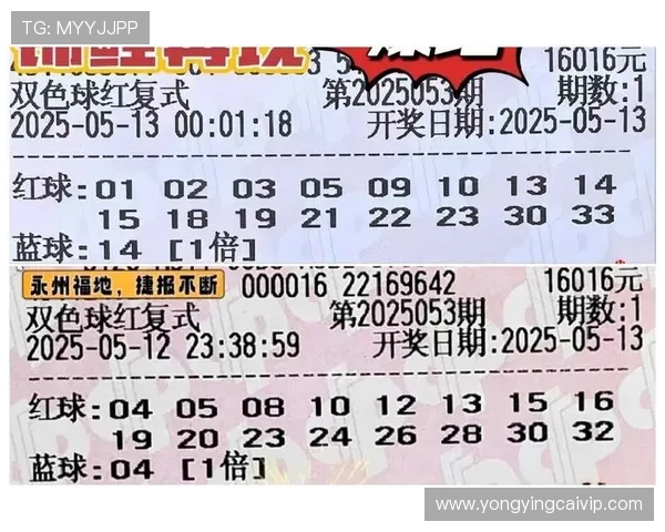 选择最佳彩票推荐平台指南 优质平台推荐助你提高中奖概率