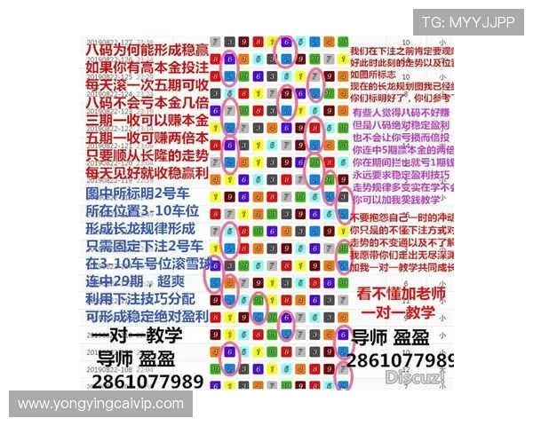 今晚极速飞艇最新走势分析及投注技巧全面解读方案