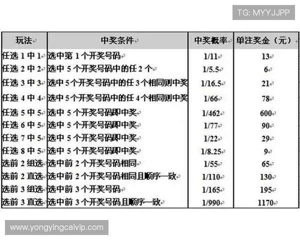 掌握十一选五投注技巧轻松提高中奖概率全解析 掌握十一选五投注技巧轻松提高中奖概率全解析