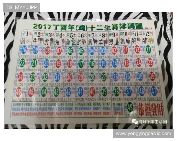 揭秘六合彩背后的投注技巧与选号策略全解析指南 揭秘六合彩背后的投注技巧与选号策略全解析指南