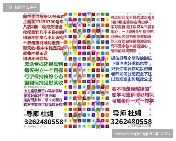 揭秘澳洲幸运10玩法技巧与投注技巧全解析
